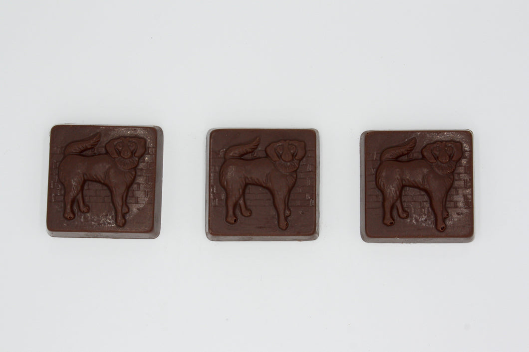 Swiss Chocolate Shaggy Dog Pack