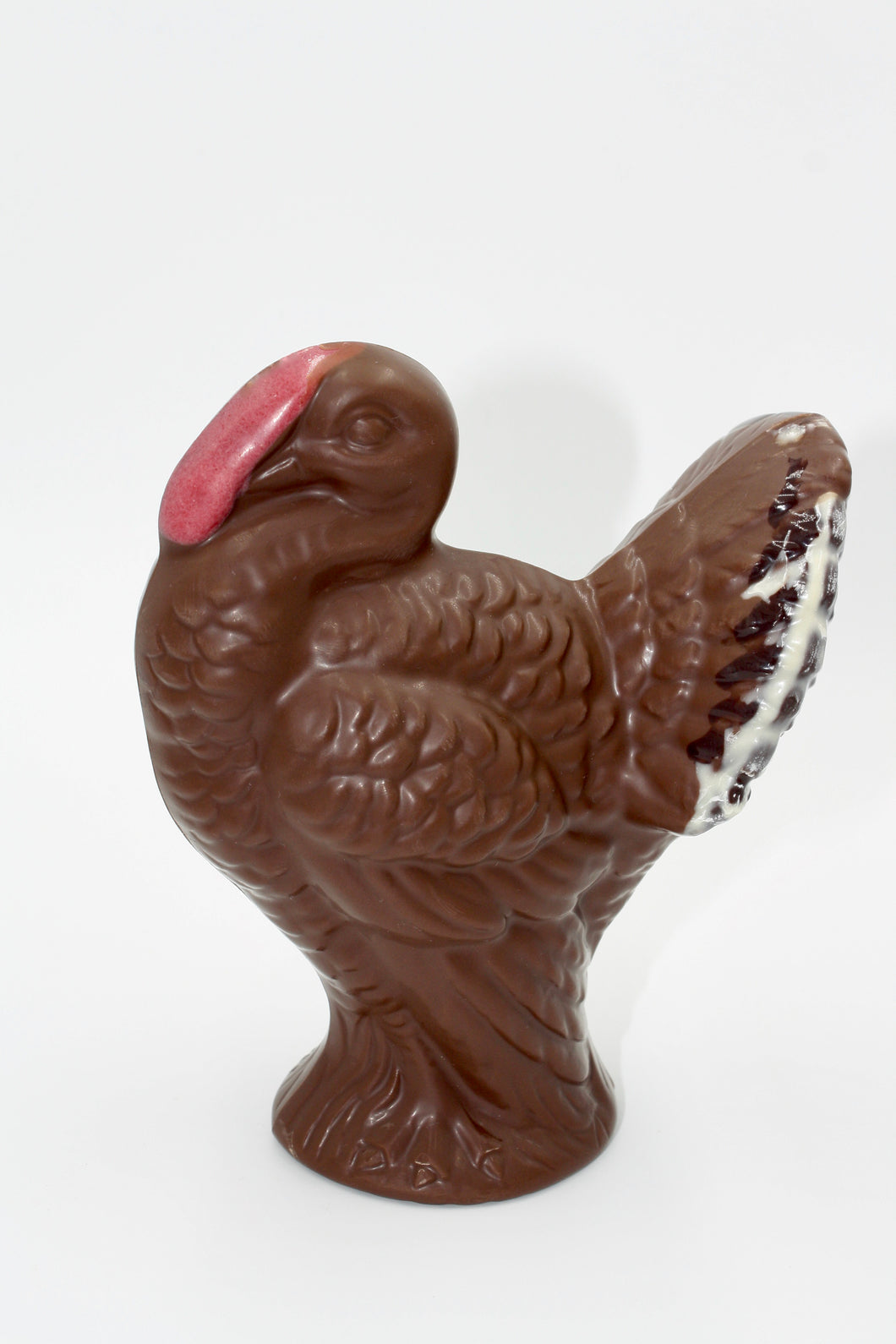 Large Thanksgiving Turkey